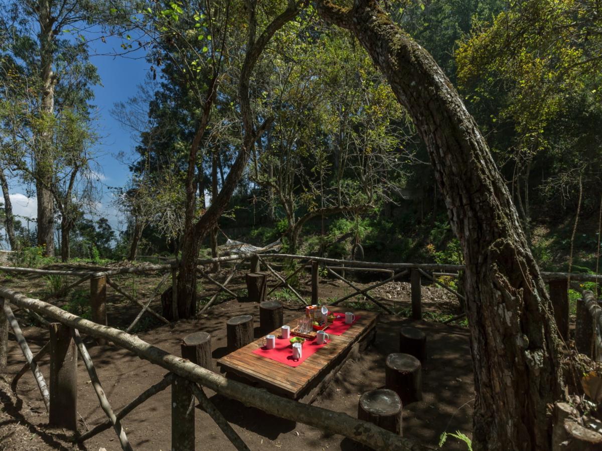 Saffronstays Kurinji Estate Tamilnadu - Tamilnadu - Kodaikanal Extérieur photo