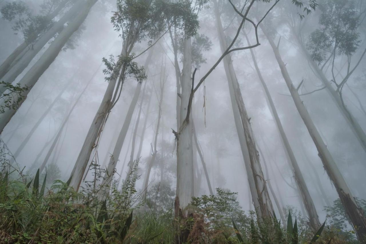 Saffronstays Kurinji Estate Tamilnadu - Tamilnadu - Kodaikanal Extérieur photo